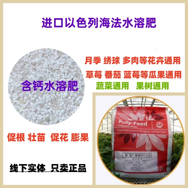 进口海法水溶肥月季绣球水溶肥番茄多肉瓜果树花卉通用促花肥盆栽
