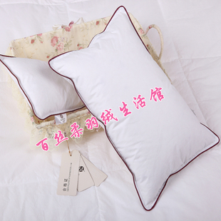 婴幼儿95白鹅绒羽绒枕芯儿童幼儿园枕头柔软无异味送枕套30×45