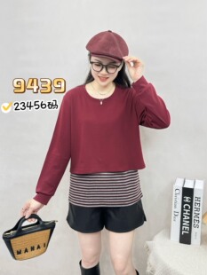 彩衣蝶大码女装2024新款秋冬季假2件套遮肉长袖T恤9439