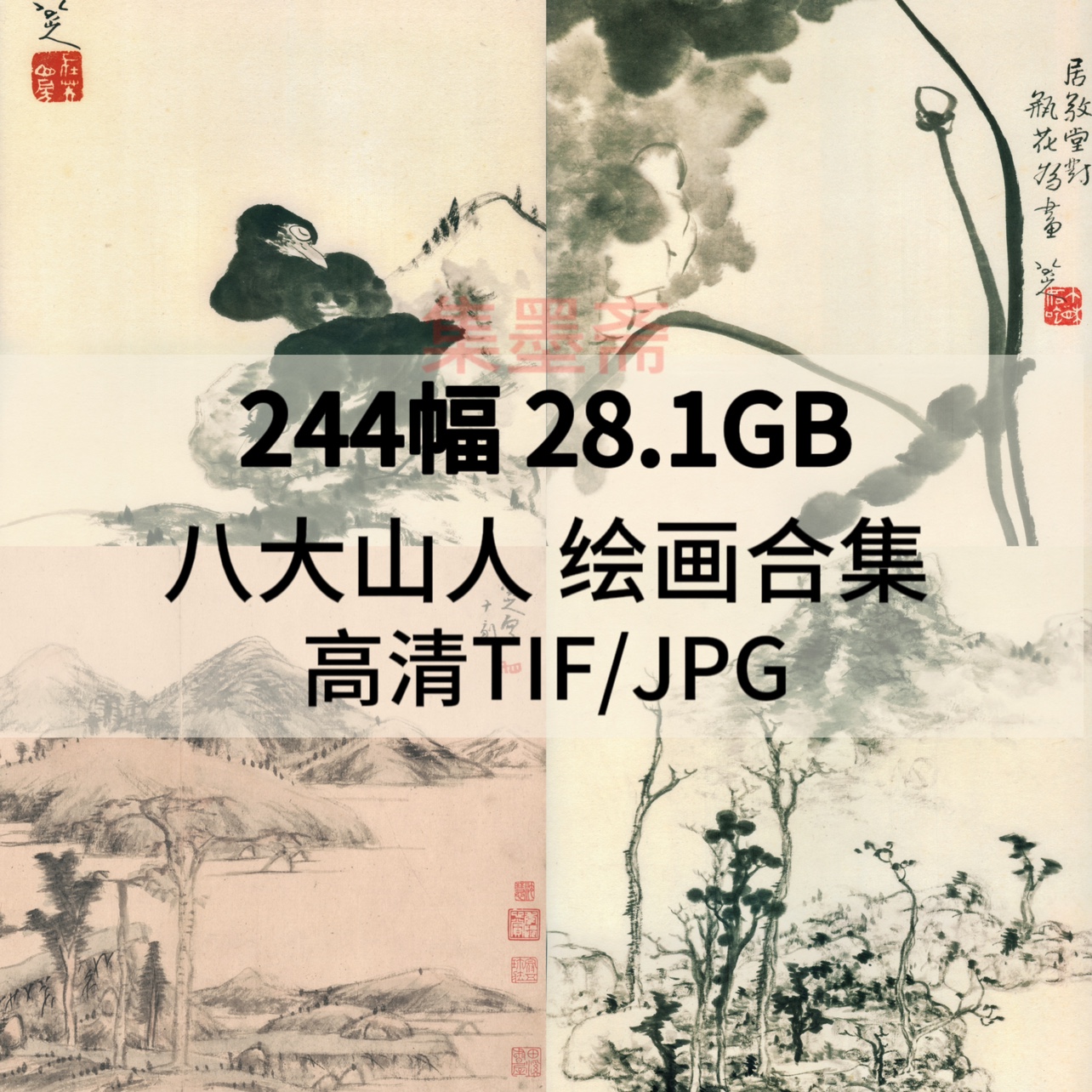 八大山人绘画合集高清TIF近现代国画梅花翠竹工笔设色电子图素材