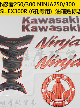 适用EX300R Ninja250/300摩托车Z250SL300r油箱贴纸LX150鱼骨贴花