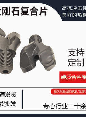 28煤矿支护27金刚石复合片30锚索32锚杆PDC钻头B19岩石两翼钻头36