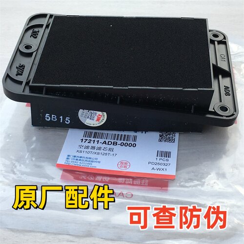 适用三阳飞度3/4/5空滤器XS125T-16A/16B/16C火焰凤凰FNX150 巡弋