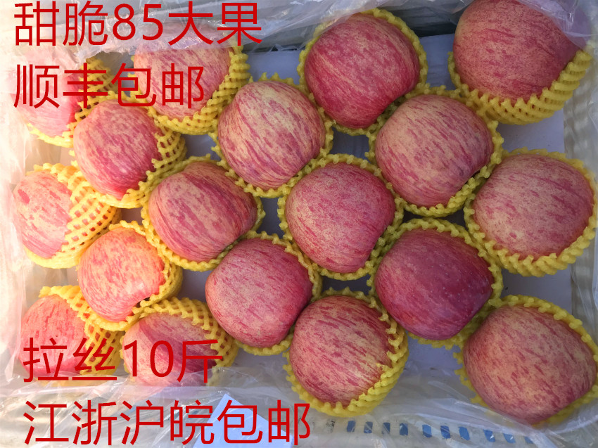 红富士苹果烟台特产水果礼盒山东省栖霞苹果整箱拉丝脆10斤包邮