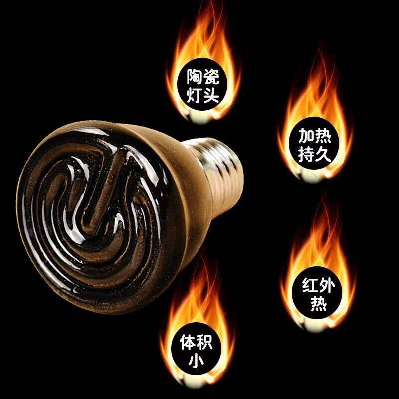 保温灯陶瓷红外线加热灯养殖乌龟寄居蟹蜥蜴爬宠宠物