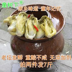 广西乳酸菌酸菜发酵3斤农家自制 非土坑酸菜鱼酸菜 腌芥菜下饭菜