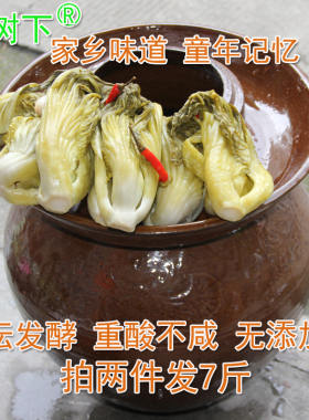 广西乳酸菌酸菜发酵3斤农家自制 非土坑酸菜鱼酸菜 腌芥菜下饭菜
