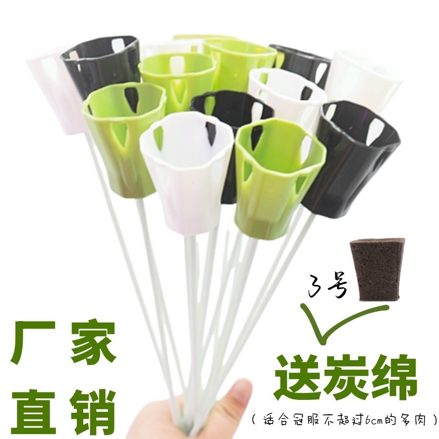 无土多肉专用花束花器花托绿植摆件支撑架子套杆种植炭绵包装