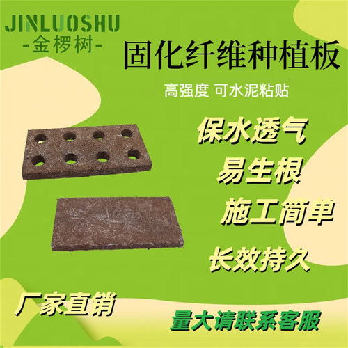 金椤树类土固化纤维种植宏基质板水泥粘贴屋顶垂直立体绿化墙厂家