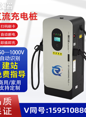 新能源直流充电桩30kw/60kw/120kw/240kw电车商用家用快充单双抢.