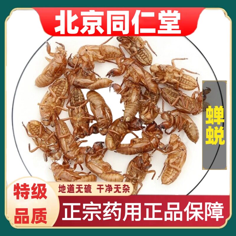 同仁堂精选蝉蜕中草药材野生蝉衣