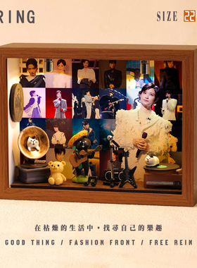 李宇春周边音乐专辑相框创意桌面礼物造景摆件生日礼品送男生女生