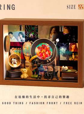 单依纯周边音乐专辑相框创意桌面礼物造景摆件生日礼品送男生女生
