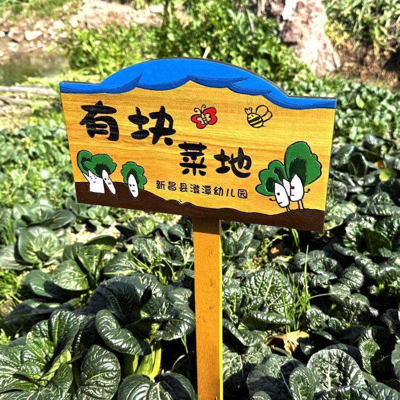 实木园艺植物标签牌木质插地牌户外指示标识牌幼儿园菜园告示木牌图片