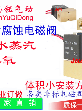 CYBM21-E臭氧 酒精 蒸汽 直动常闭 微型 1/4 抗膨胀  高温电磁阀