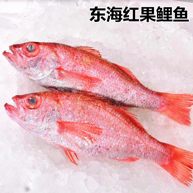 包邮东海红果鲤赤鯥鱼冷冻红黑喉深海鱼新鲜海鲜水产品少刺2斤装