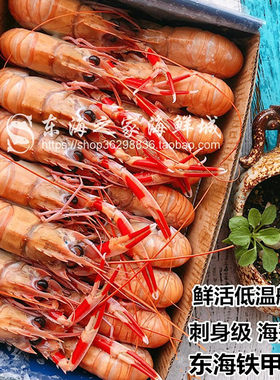 深海虾螯虾刺身铁甲虾新鲜小龙虾