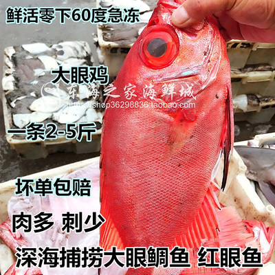 海鲜鱼类大目鲷鲜活冷冻红目鲢