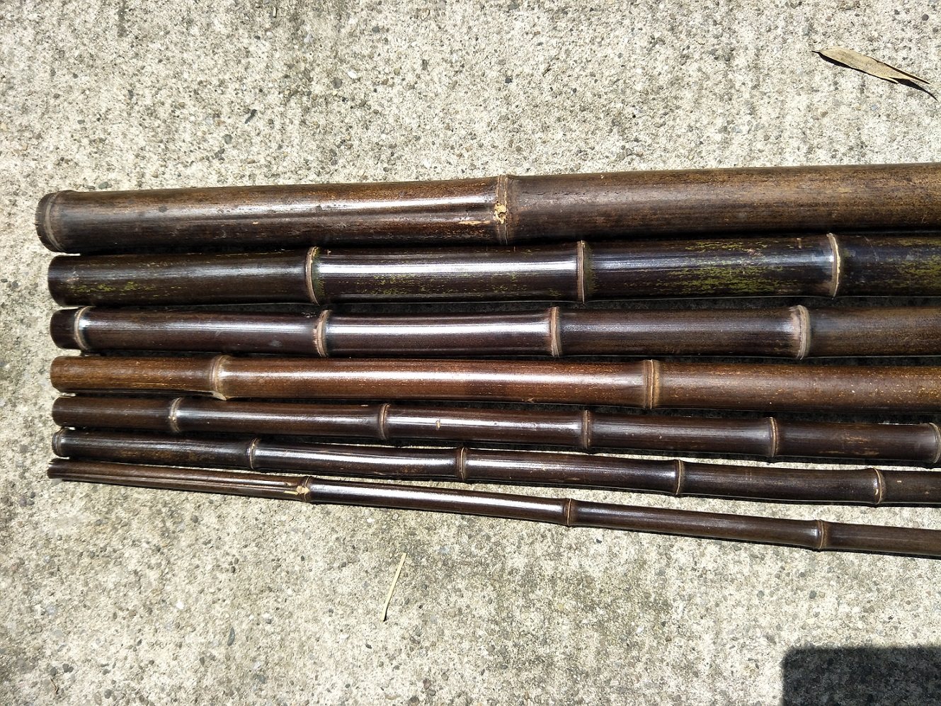 园艺用品 爬藤架 diy竹竿 竹竿竹竿篱笆 竹架 紫竹杆2米特