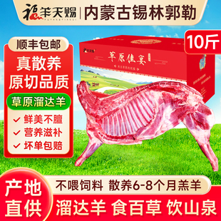 内蒙古羊肉新鲜半只羊锡盟羊排羊腿羊蝎子非现杀宁夏羊中秋礼盒