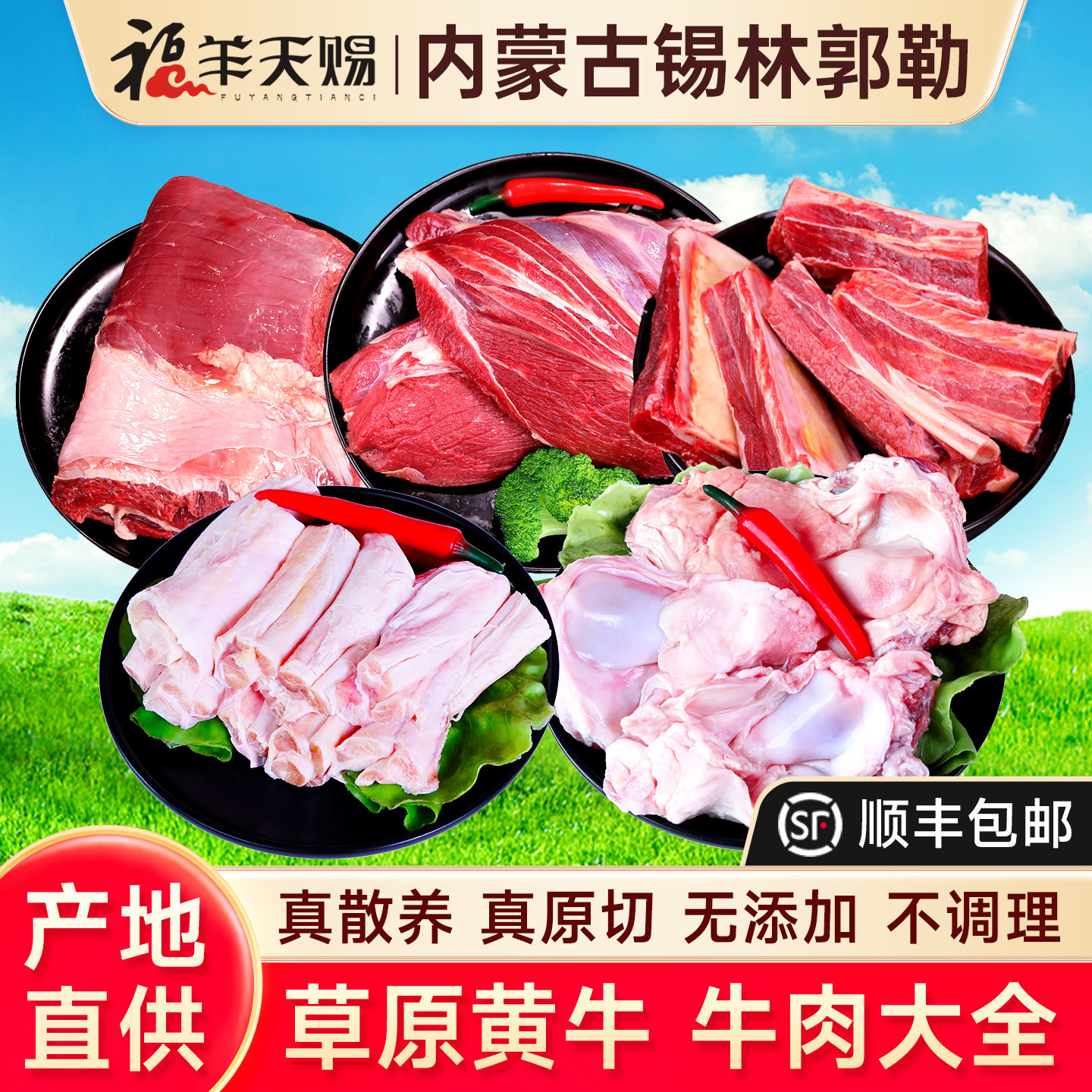内蒙古原切黄膘牛肋排牛排骨新鲜带肉牛腩牛腱子