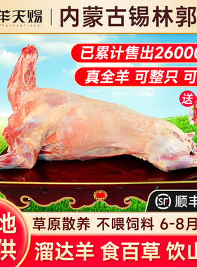 内蒙古锡盟全羊整只羊肉新鲜白条羊排羊腿非现杀宁夏羊年货礼盒