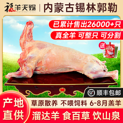 【内蒙散养】鲜美十足！原切品质
