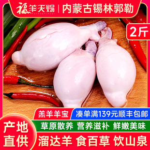 烧烤食材 羊睾丸 童子羊蛋2斤内蒙古 羔羊宝