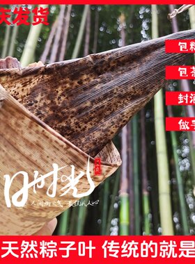 包粽子干粽叶粽子叶笋壳包黄粑粑