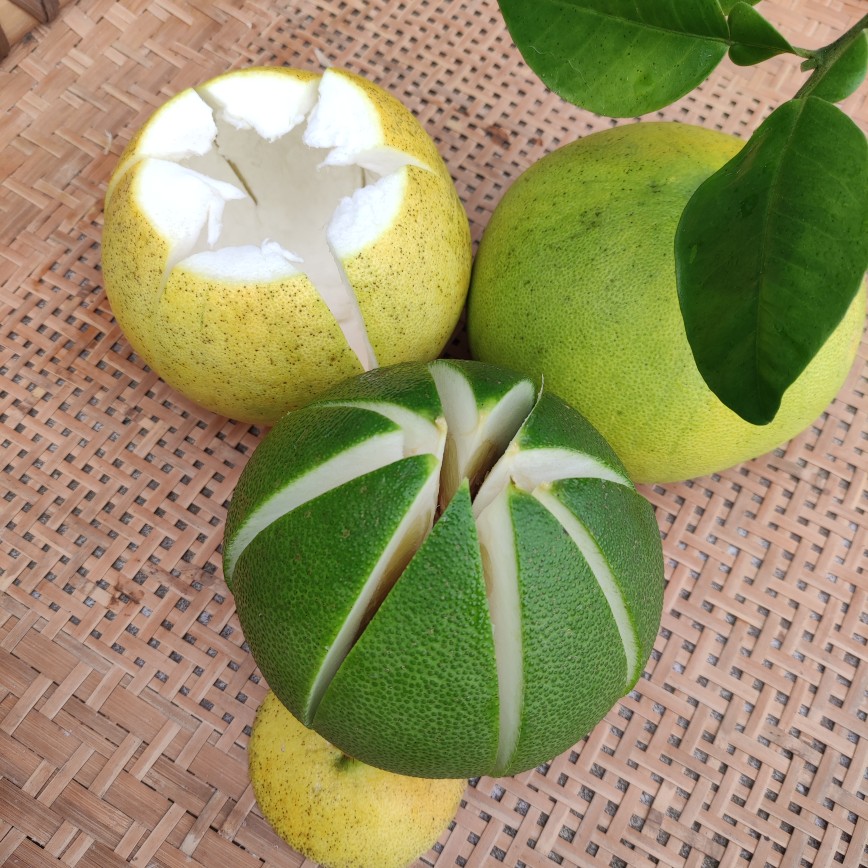 土柚子除异味小柚子新房新车公司