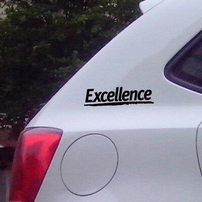 雨燕翼神拉花车身贴