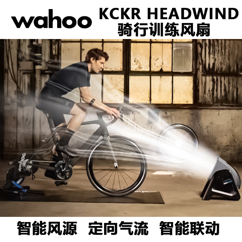 Wahoo骑行台智能风扇HEADWIND