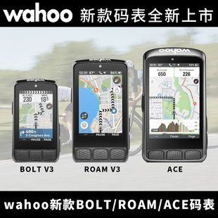 ROAM 表彩屏公路自行車GPS功率 ELEMNT 新款 ACE v3碼 WAHOO BOLT
