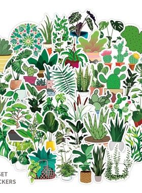50张不重复绿色植物不侵权贴纸行李箱笔记本水杯汽车滑板涂鸦贴纸