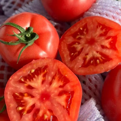 自然成熟西红原生态柿普罗旺斯番茄新鲜生吃粉甜多汁孕妇宝宝水果