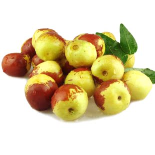 山东沾化冬枣酥脆甜味美可口当季健康新鲜水果中秋礼品