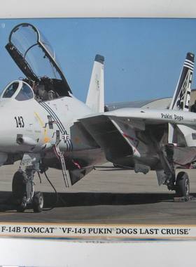 长谷川 09697 1/48 美军 F-14B VF-143 呕吐犬中队 退役