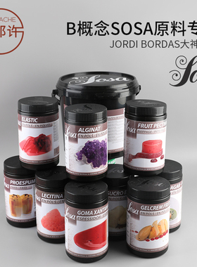 sosa索萨NH水果果胶Fruit Pectin西班牙进口JordiBordasB概念原料
