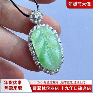 翡翠林 金枝玉叶大业有成缅甸A货老坑冰种阳绿树叶吊坠叶子玉坠子