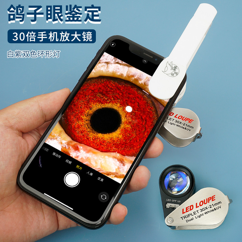 看鸽眼放大镜拜斯特30倍配手机夹
