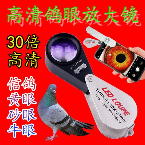 高清手机微距拍照放大镜看鸽眼