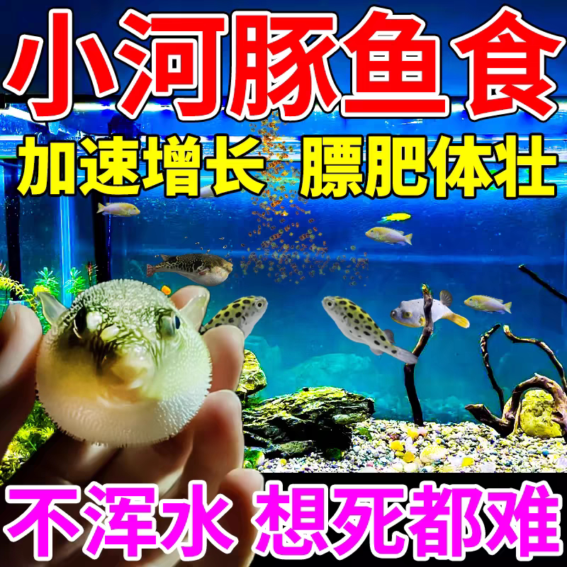 河豚鱼饲料巧克力娃娃狗头鱼专用斑马孔雀灯科小型观赏鱼颗粒食粮