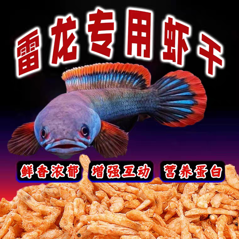 河豚小虾干饲料乌龟粮淡水虾米钩虾淡水无盐虾干补钙通用粮食便宜