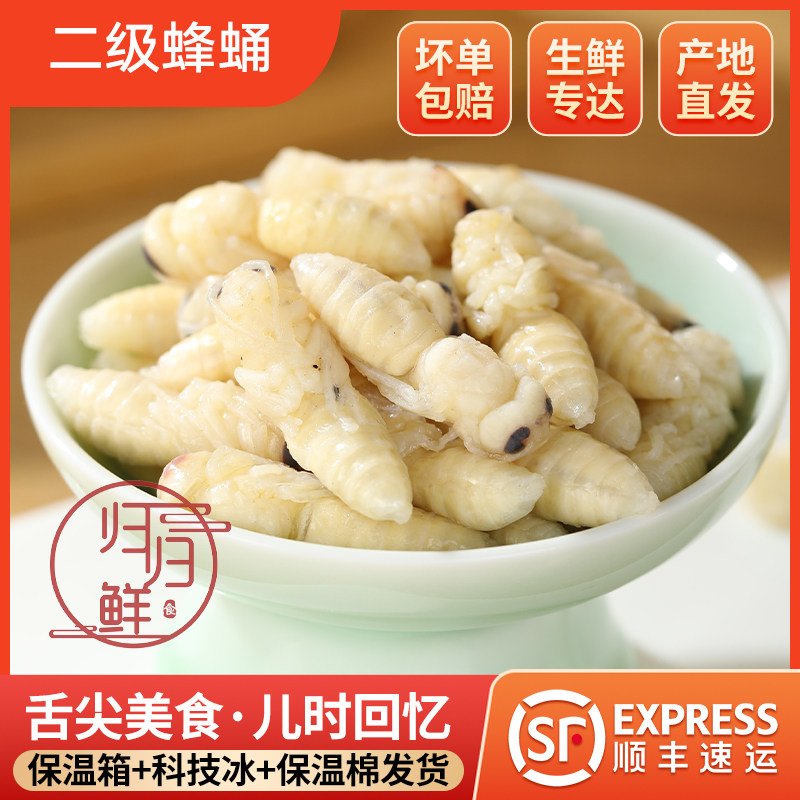 精选新鲜蜂蛹金环虎头蜂蛹二级速冻马蜂蛹幼蜂葫芦蜂蛹大马蜂蛹