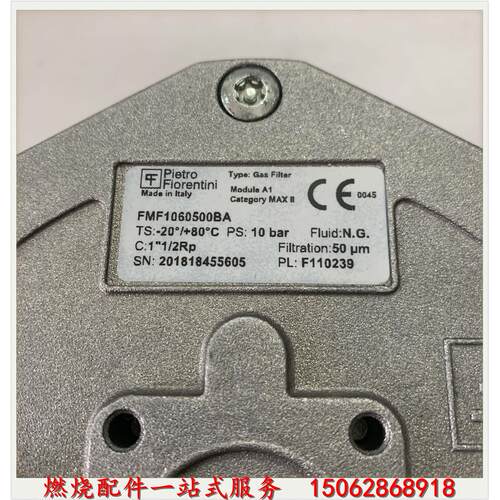 议价FMF1060500BA菲奥Pietro Fiorentini DN40口径过滤器直