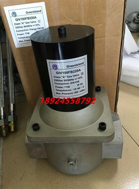 议价GIV65FB220A,GIV80FB220A电磁阀Greenlsland