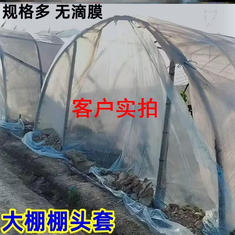 大棚棚头套大鹏门套西瓜种植蔬菜薄膜防风防老化保温无滴膜农用朋
