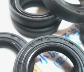 TC 21*33*7 21x33x7 C356 TTO台湾骨架油封内径21外径33高度7毫米