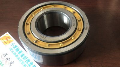 NJ2309EM45*100*36ECPC轴承