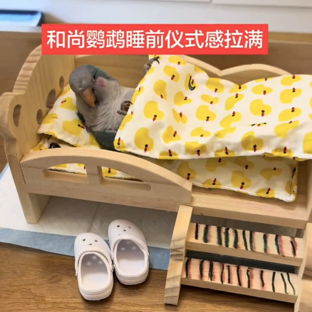 和尚鹦鹉睡床原木小床鸟窝小太金太阳鹦鹉躺着睡觉防压保暖鸟屋